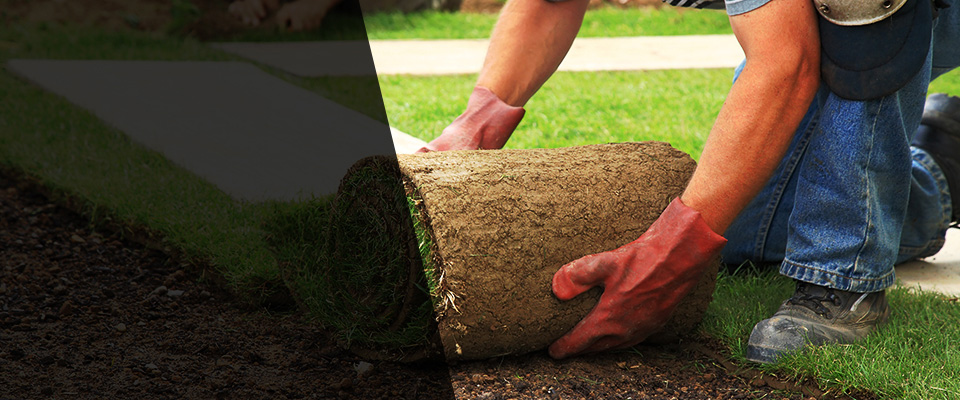 Duryea Landscapers